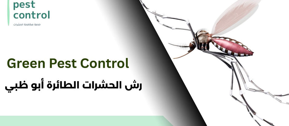 رش الحشرات الطائرة أبو ظبي