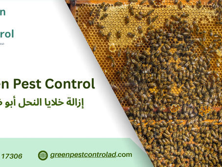 إزالة خلايا النحل أبو ظبي