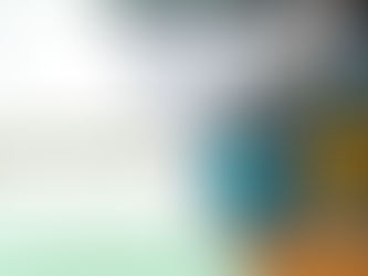 مكافحة النمل المنزلي أبو ظبي