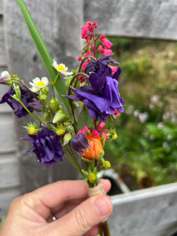 Spring Buttonhole