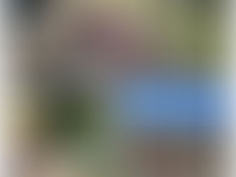 クラスのようす(ばら組)