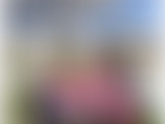 クラスのようす(全クラス)