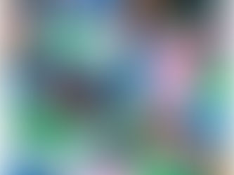 クラスのようす(ひつじ組)