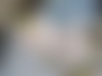 卒園児さん来園