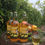 Thumbnail: Goldfinch Cider
