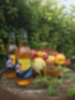 Bullfinch Cider