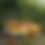 Thumbnail: Bullfinch Cider