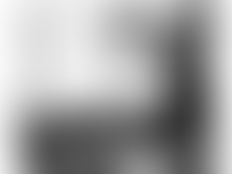 polaroid emulsion lift