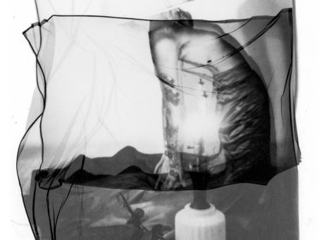 polaroid emulsion lift