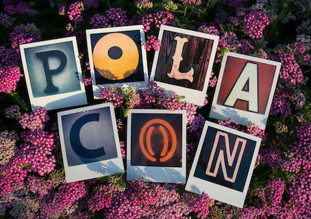 PolaCon