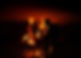 Hobithouse_burn2019_37.JPG