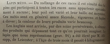 lapin metis text.PNG