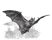 Untitled design (3).png