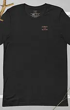 printful shirt pictures your not here by accident original.webp