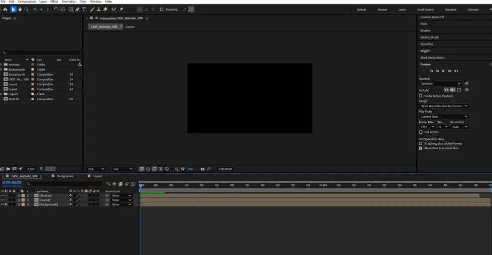 After Effects Project for "Coming of Age", 2025.