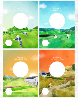 Fujini teaパッケージ(Amazon Germany)