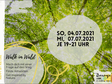 Walk im Wald 