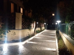 2019 via Trasone - Rifacimento viale d'ingresso