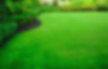 Weed-killer_SingjaiStocker_Shutterstock.jpg