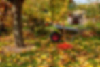 fall-lawn-care-tips-0722-136b57f415c9441794ba22e2054c3251.jpg