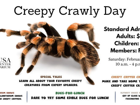 From Spiders to Sweethearts: Celebrate Valentine’s Day & Creepy Crawly Day at Calusa!