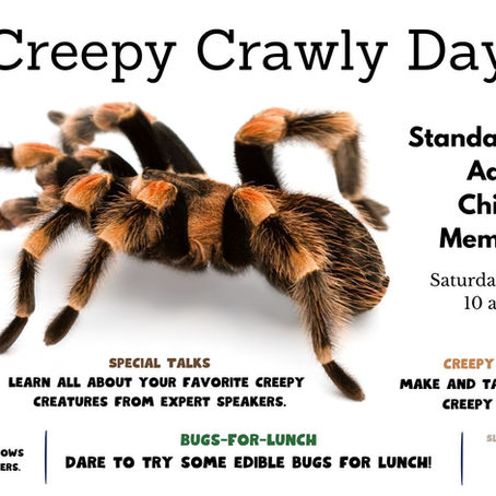 From Spiders to Sweethearts: Celebrate Valentine’s Day & Creepy Crawly Day at Calusa!