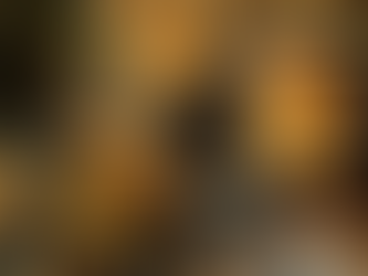 “Butterfly Journey” Premieres in South Florida at Earth Day Celebration at Calusa Nature Center & Planetarium