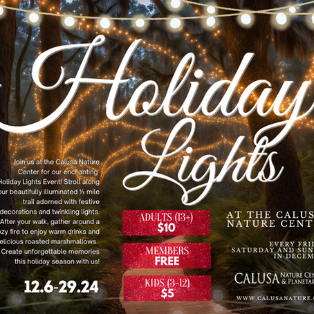 Experience the Magic of the Season at Calusa Nature Center’s Holiday Lights Celebration
