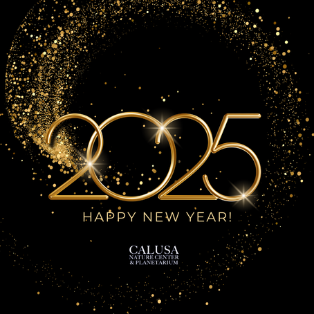 Happy New Year!