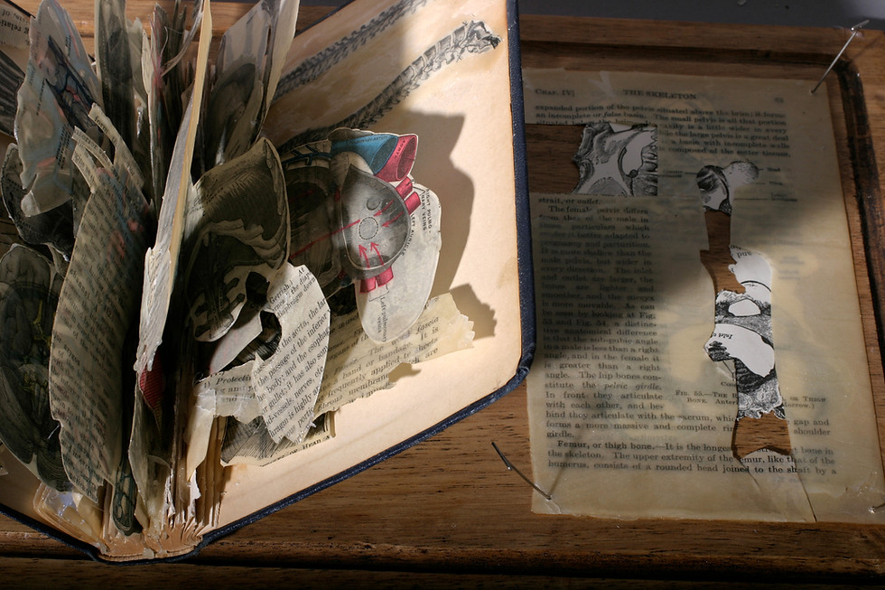 Thumbnail: Dissected Book 1 with Wax