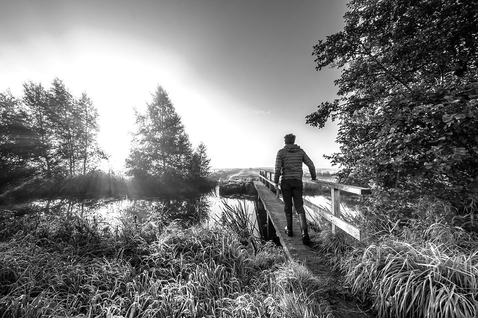 Nature Walk_edited.jpg