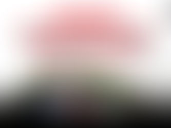 Press Conference on Decarbonization Pathways for SMEs under Bangladesh Small and Cottage Industries Corporation (BSCIC)