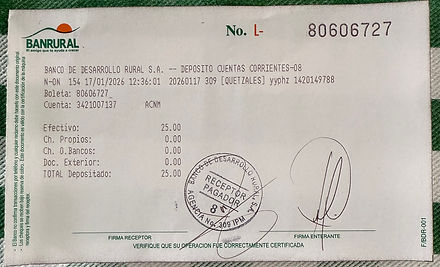 Ejemplo Boleta.jpg