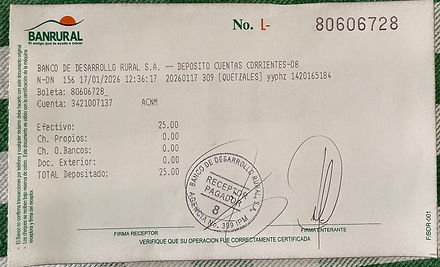 Ejemplo Boleta.jpg