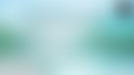 Book a Free Virtual Consultation