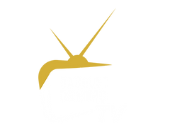 Copy of Copy of Logos Racquet Centro (7).png