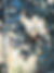 P7020529_edited.jpg