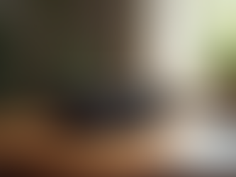 Opciones de Compra para Sonos Era 300: Guía para la compra de dispositivos de audio