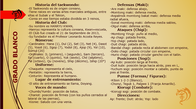 TEORIA GRADO BLANCO.png