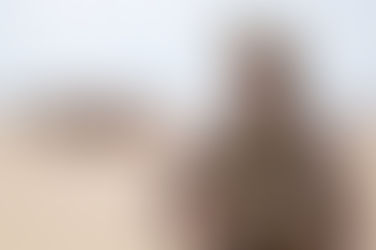 la proposition des États-Unis d’envoyer une force militaire en Haïti dans l’impasse