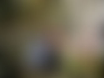 Artistes et supporteurs rendent hommage à Mikaben…