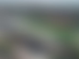 Le Stade Sylvio Cator pris d’assaut par les gangs