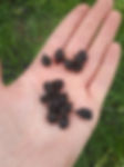20190518_131746.jpg
