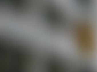 O ajuste esquizofrênico