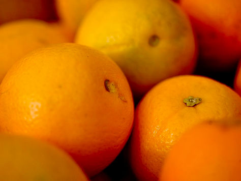 As laranjas têm rosto de mulher: candidaturas políticas e desigualdades na grande mídia brasileira