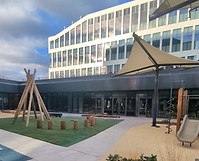 PXL_20240123_231723727_exported_9496~2.jpg