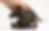 rebeccadinotrike2.png