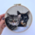 Two cats