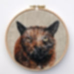 pet portrait - Ruby Cat framed