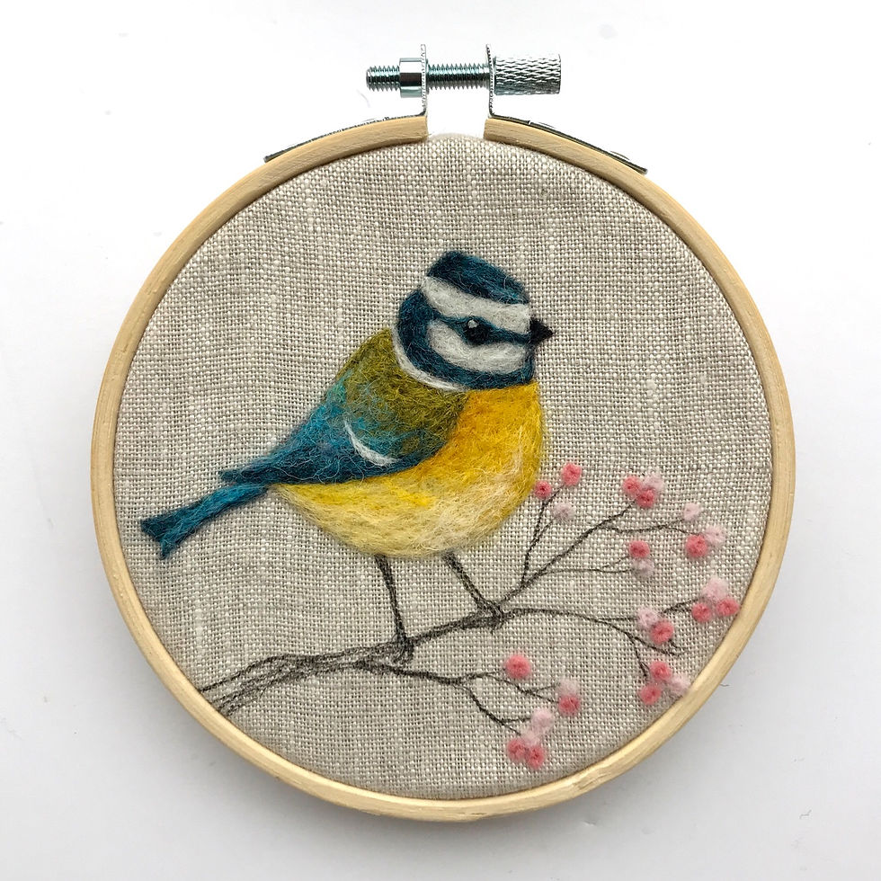 Thumbnail: Needle felt a Blue Tit Workshop 